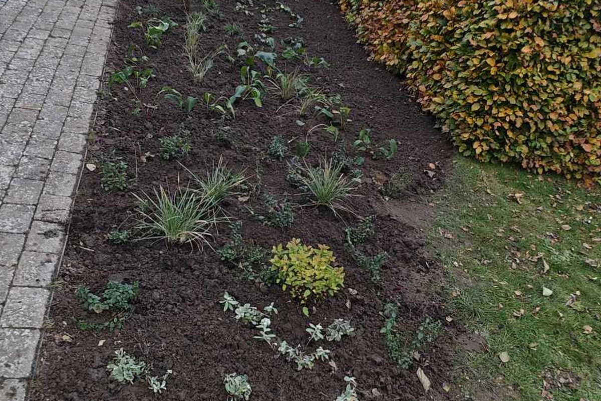 Beplantning og haveanlæg af AGRO SERVICE